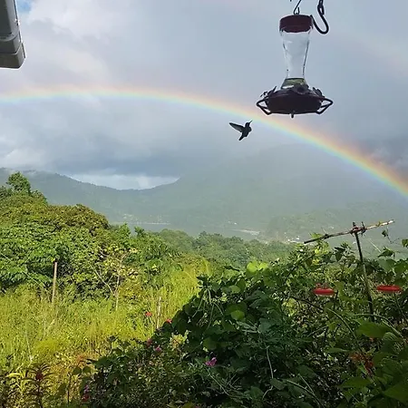 Hummingbird Campground And Eco Lodge